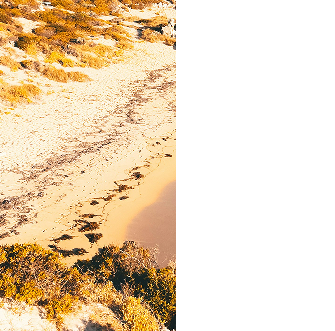 Perth Landscape Background