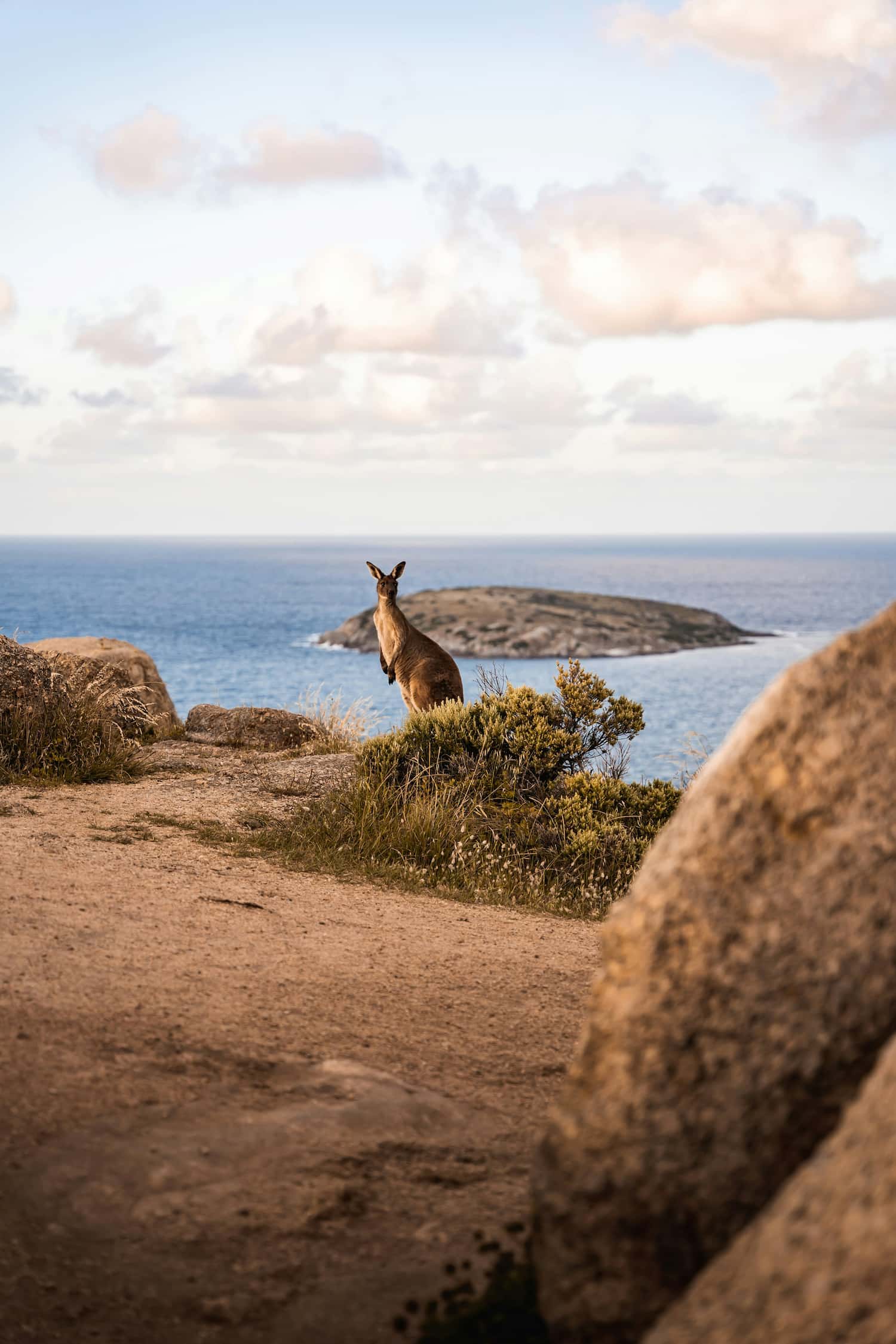 ISO Certification in Australia